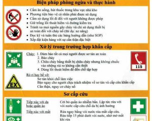 MSDS là gì