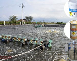 hóa chất diệt khuẩn